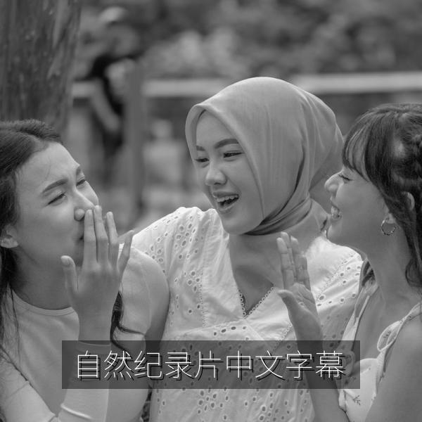 自然纪录片中文字幕